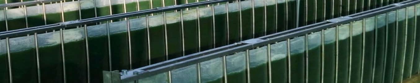 Società Agricola Serenissima s.r.l. — foto 4